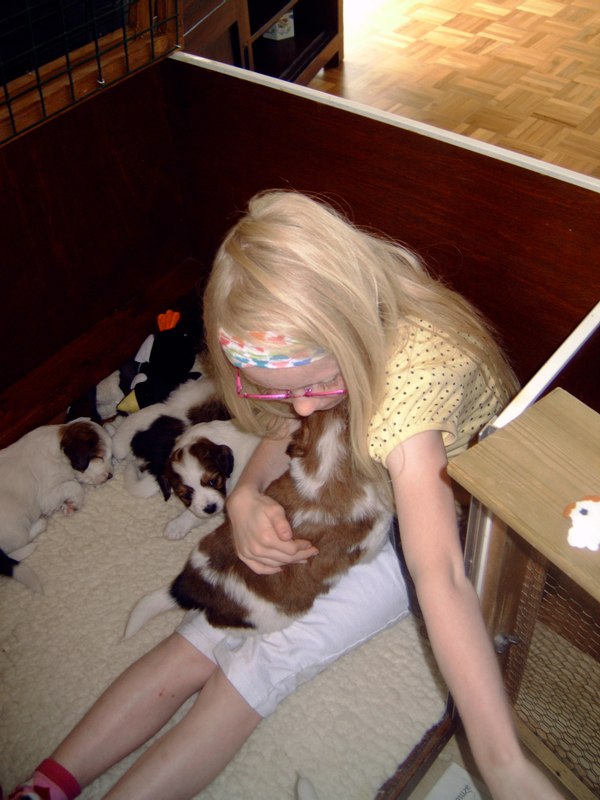 Puppies